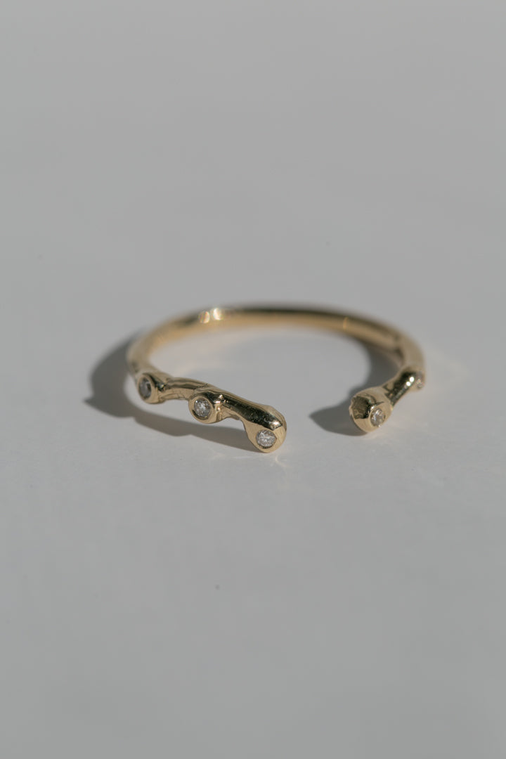 Eden Ring