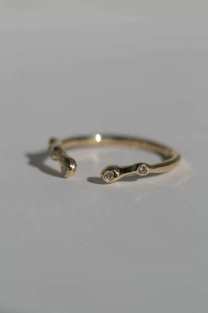 Eden Ring