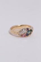 Cluster Signet No.1