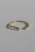 Eden Ring