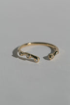 Eden Ring