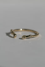Eden Ring