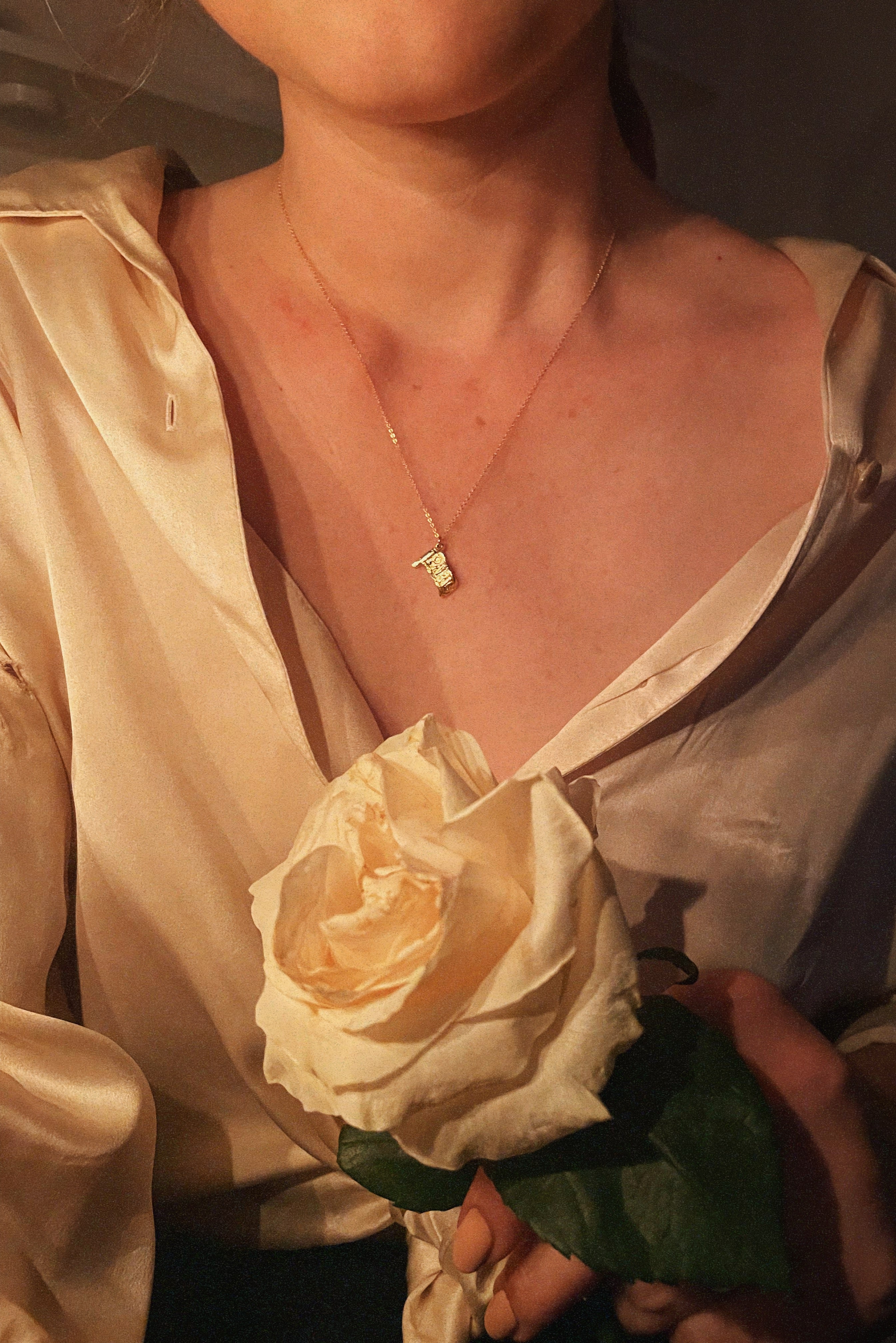 Paris Flag Necklace