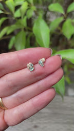 Alexandrite Cluster