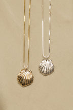 Scallop Shell